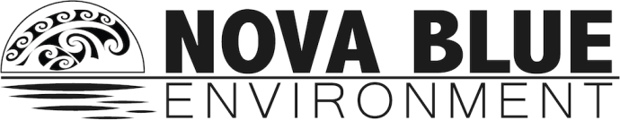 Nova Blue Environment